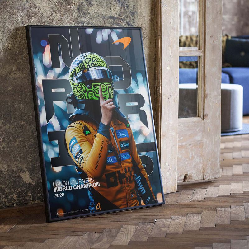 MCL 25 LN WDC POSTER - Multi