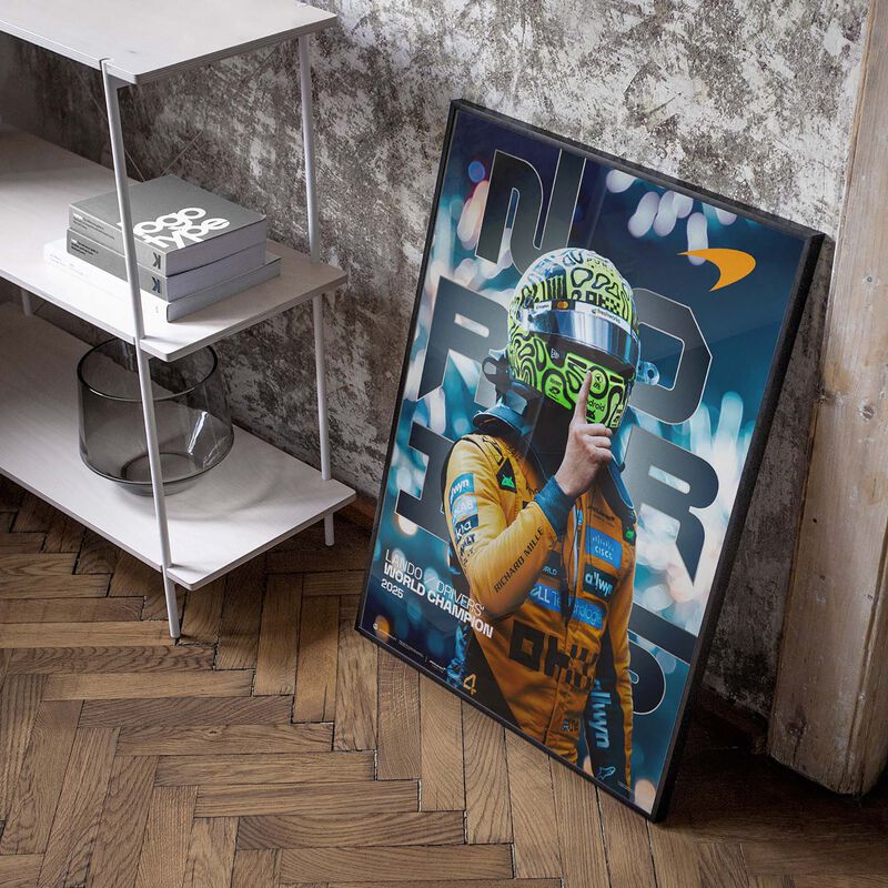 MCL 25 LN WDC POSTER - Multi